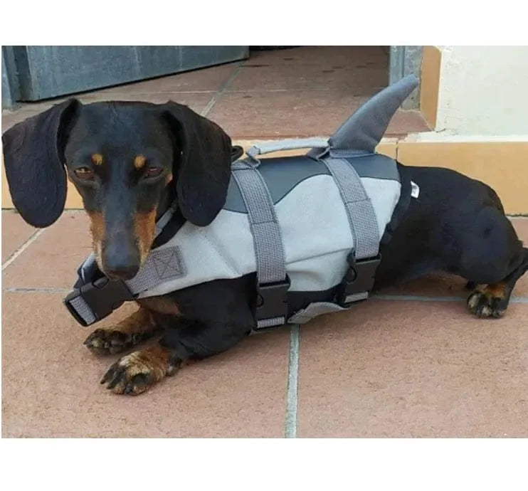 Wiener Dog Shark Life Jacket The Doxie World