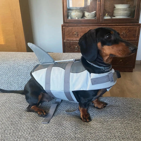 Wiener Dog Shark Life Jacket Gray / XS 2-4kg The Doxie World