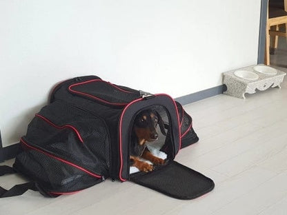 Expandable Dachshund Carrier The Doxie World