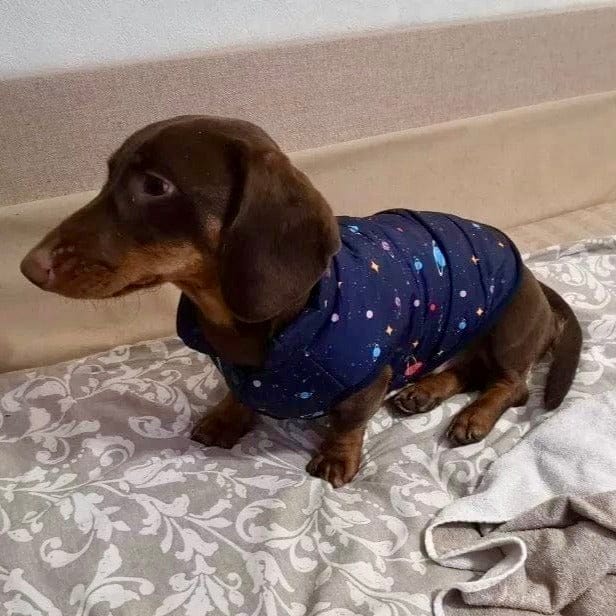 Planet Print Puffer Dachshund Jacket The Doxie World