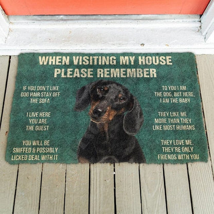 When Visiting My House Please Remember Dachshund Doormat The Doxie World